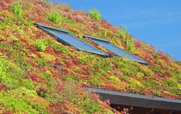Snailwell living roof systems